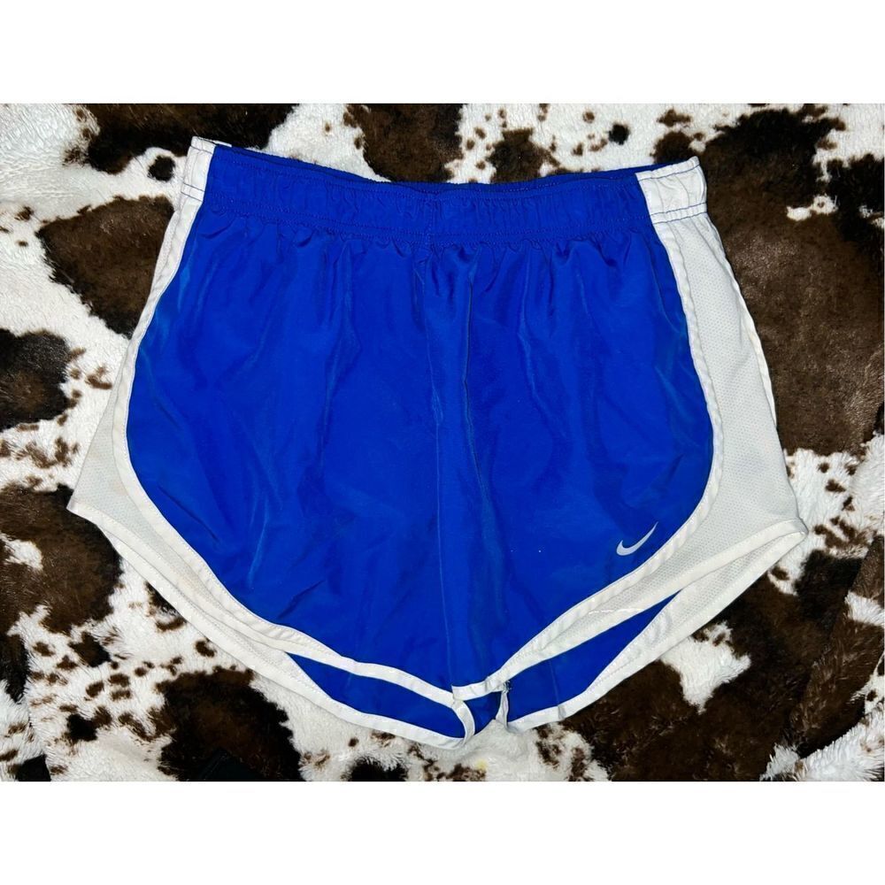 Nike Dri-Fit Shorts (M)